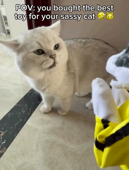 Punch Paw Cat Toy